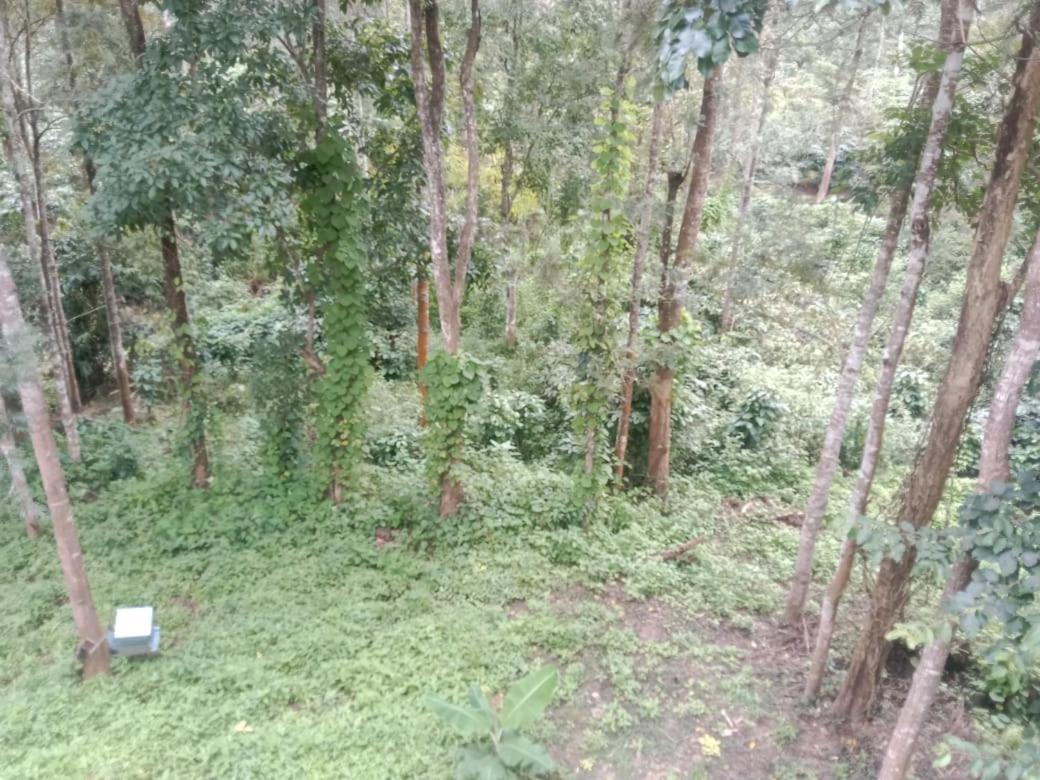 Elephant Path Coorg 3Bhk Villa Suntikoppa Luaran gambar